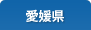 愛媛県